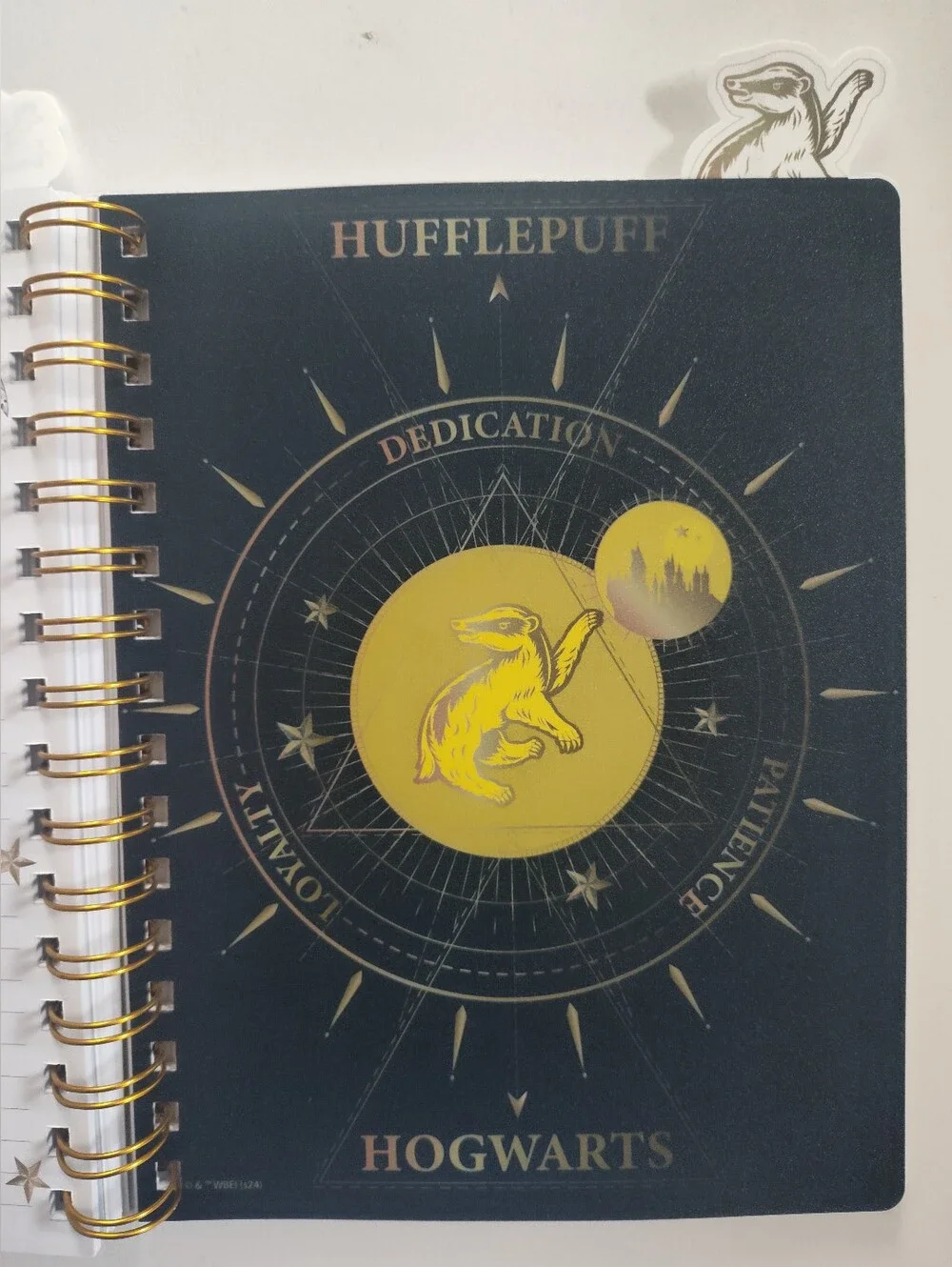 Wizarding World Of Harry Potter become spellbound